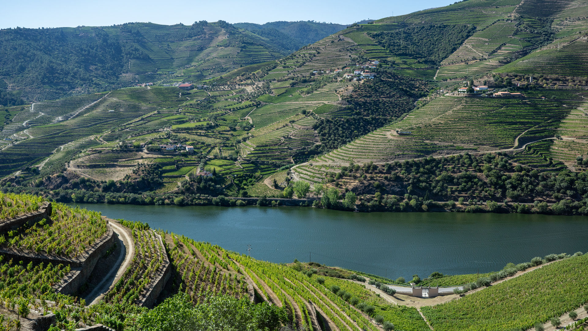 Douro Vineyards (Portugal)