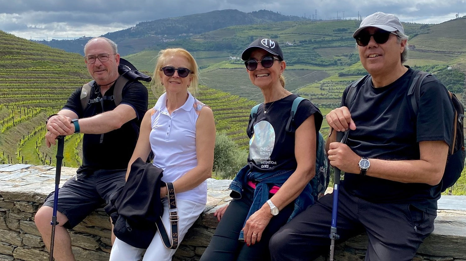 Vineyard Viewpoint, Douro Valley, Portugal