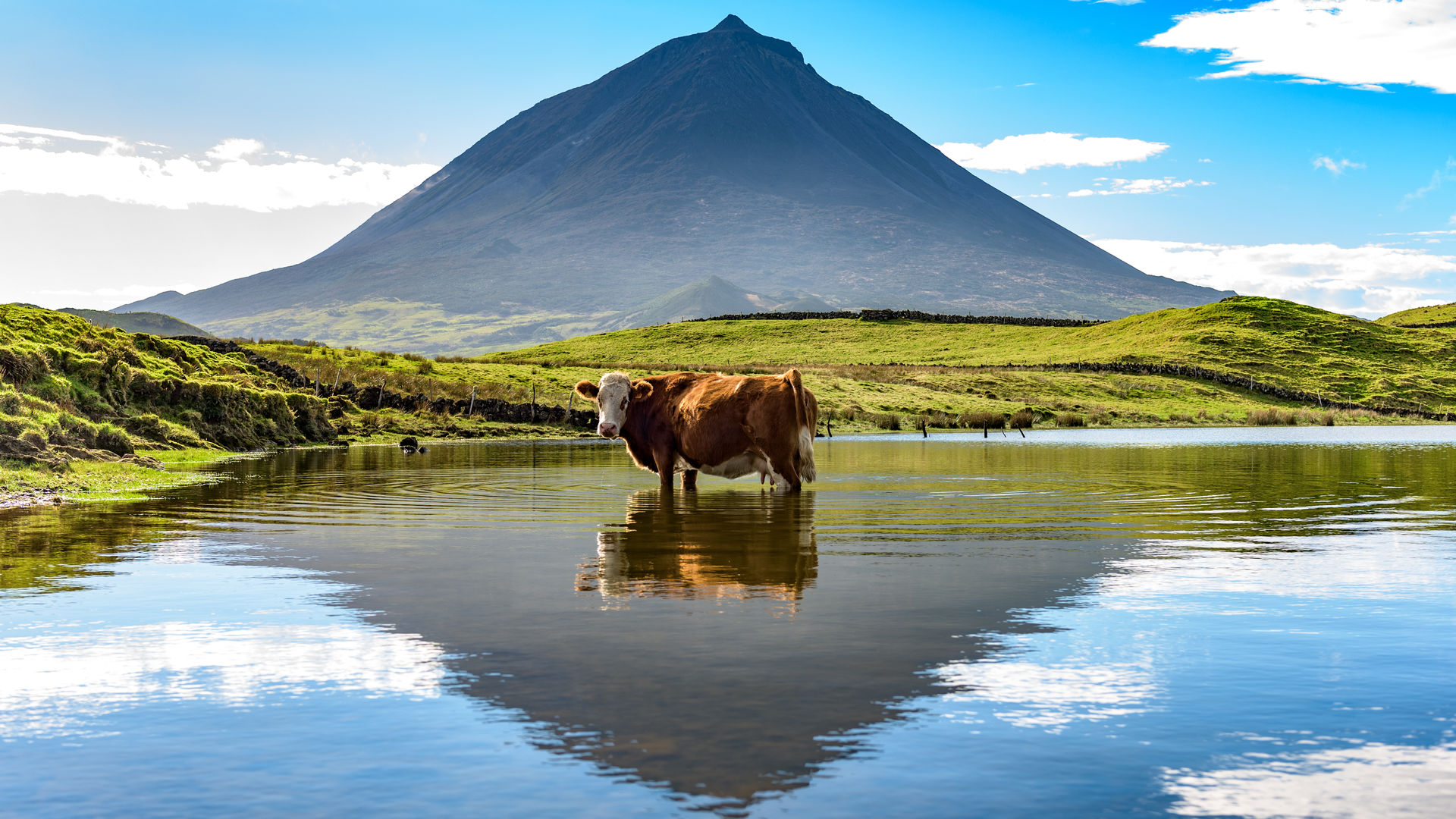 Lagoa do Capitão with Mount Pico in the Background, Pico