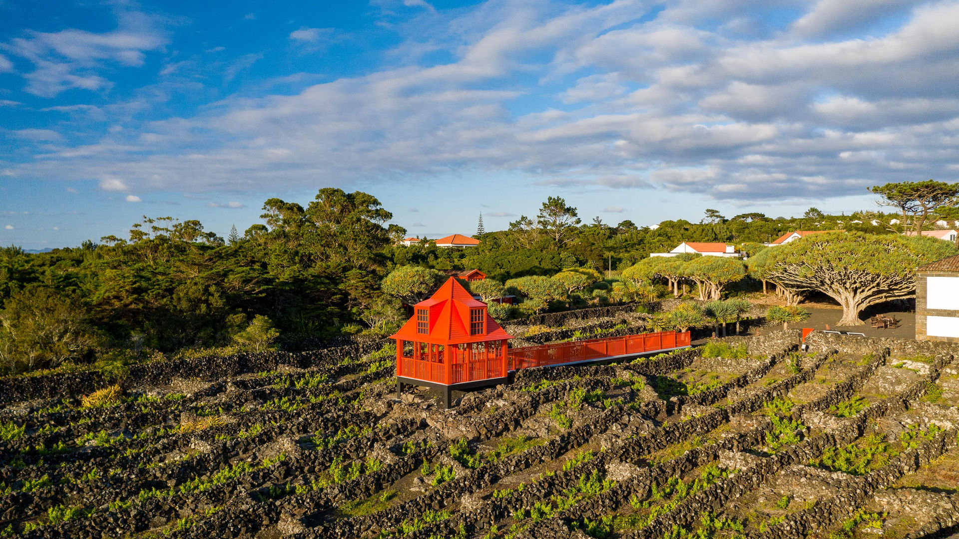 Pico Wine Museum, Pico Island