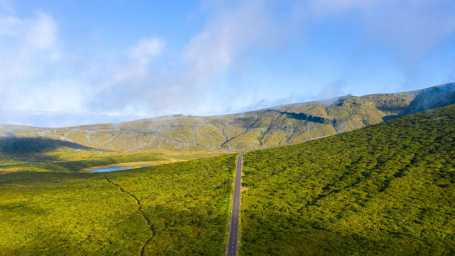 Lush green expanse of the Morro Alto Natural Forest Reserve