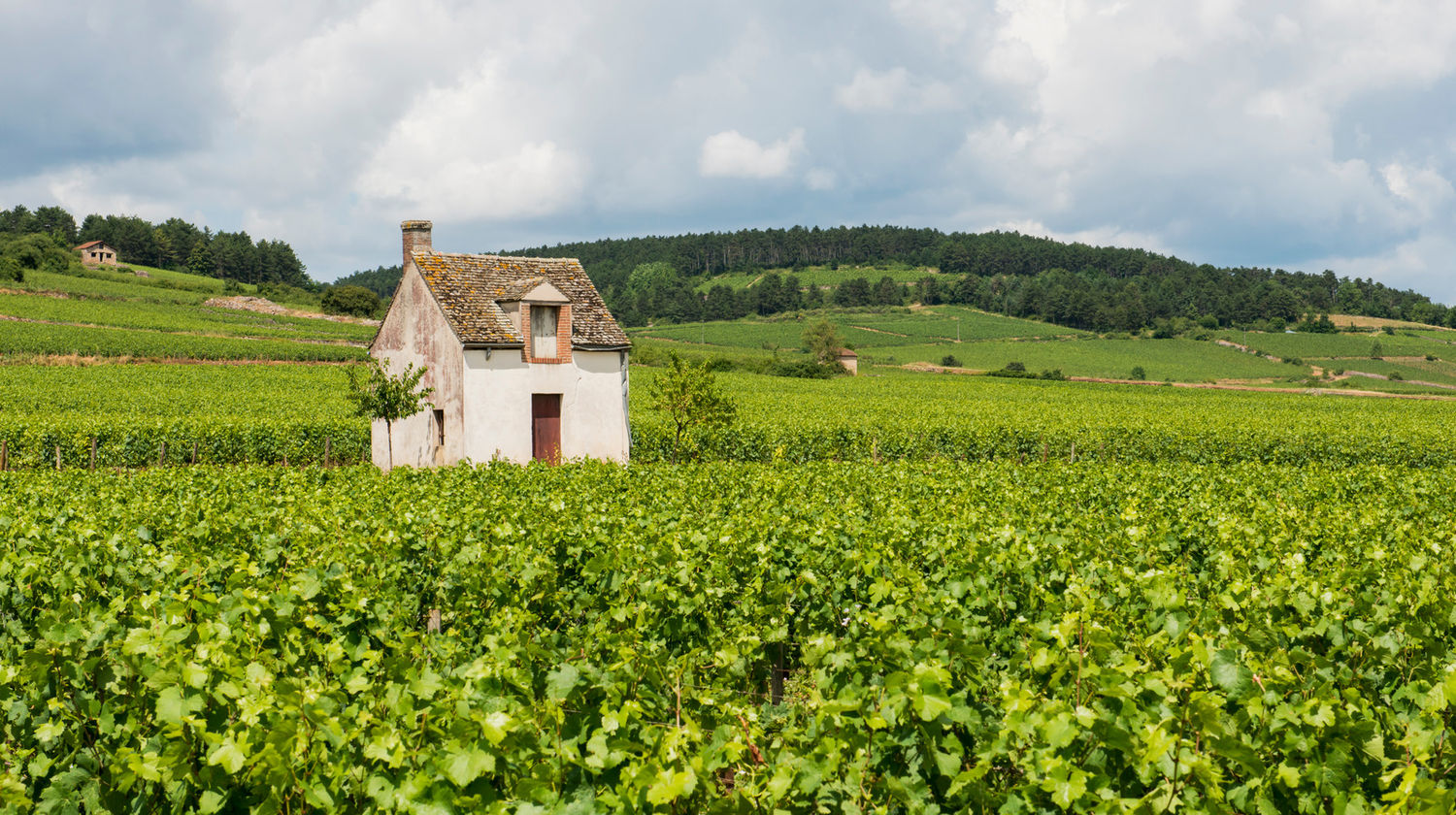 Beaune 