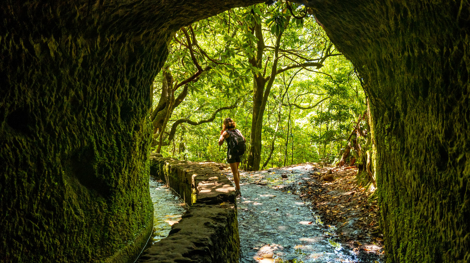 Walking through a levada trail in Madeira's forest