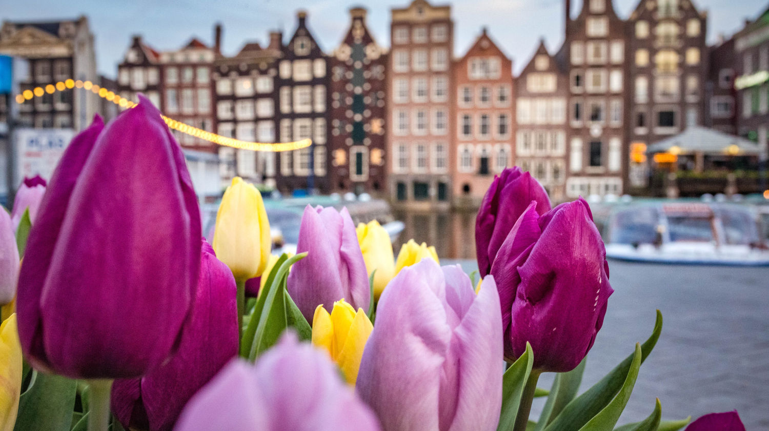 Canal Flowers, Amsterdam, Netherlands