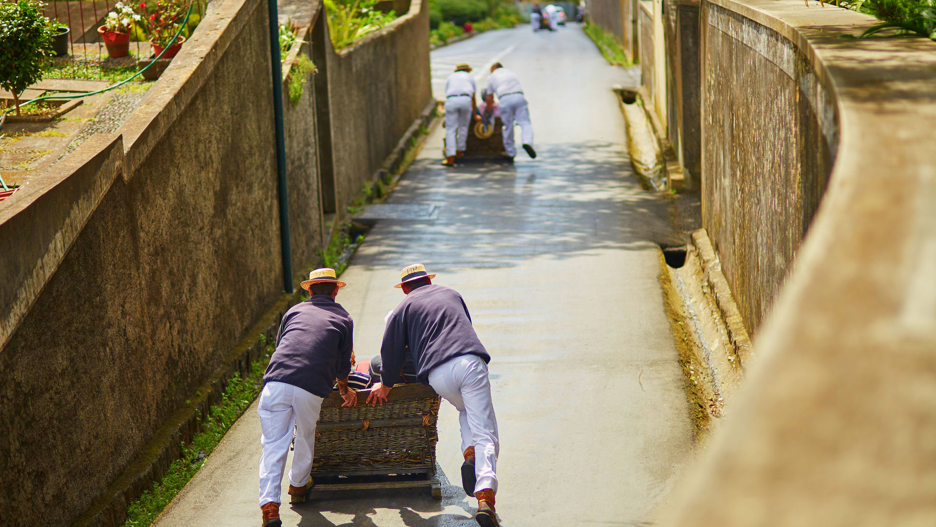 Hold On Tight: The Monte Toboggan Ride in Madeira 