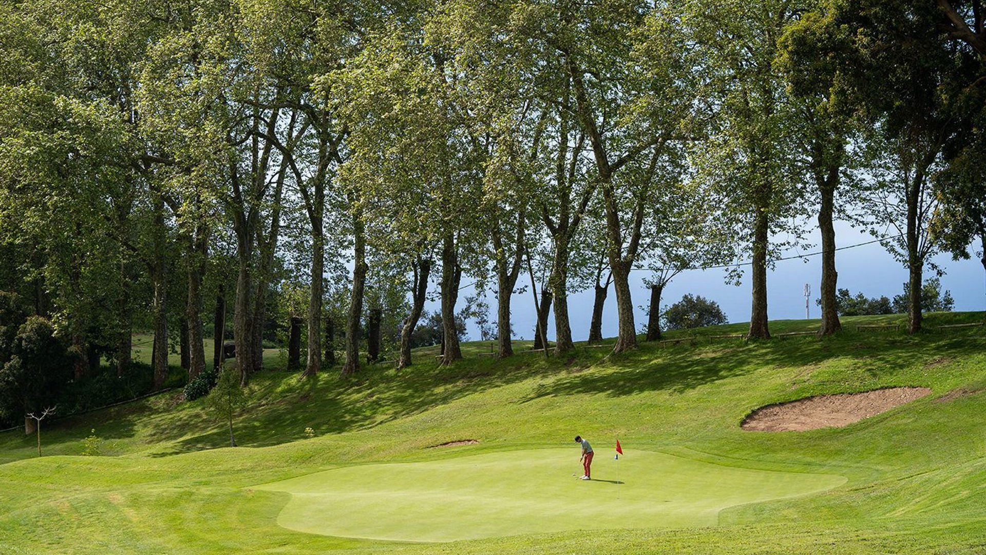 Palheiro Golf Course Fairway