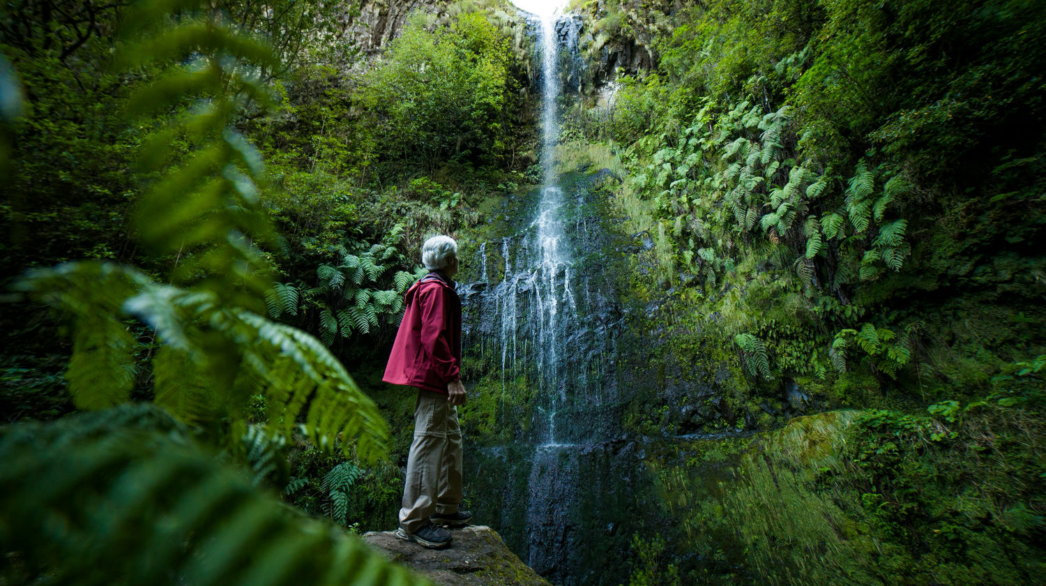 Caldeirão Verde Levada Hike, Madeira Island