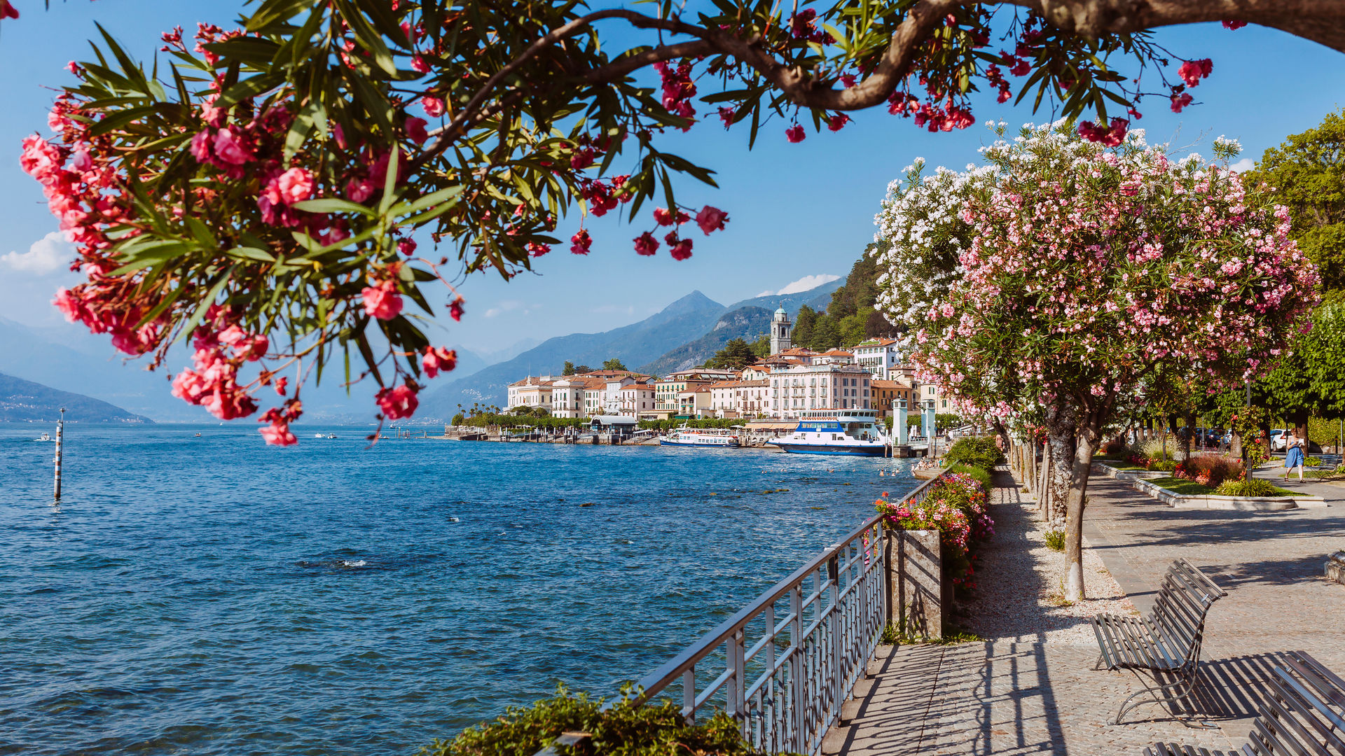 Bellagio City and Lake Como
