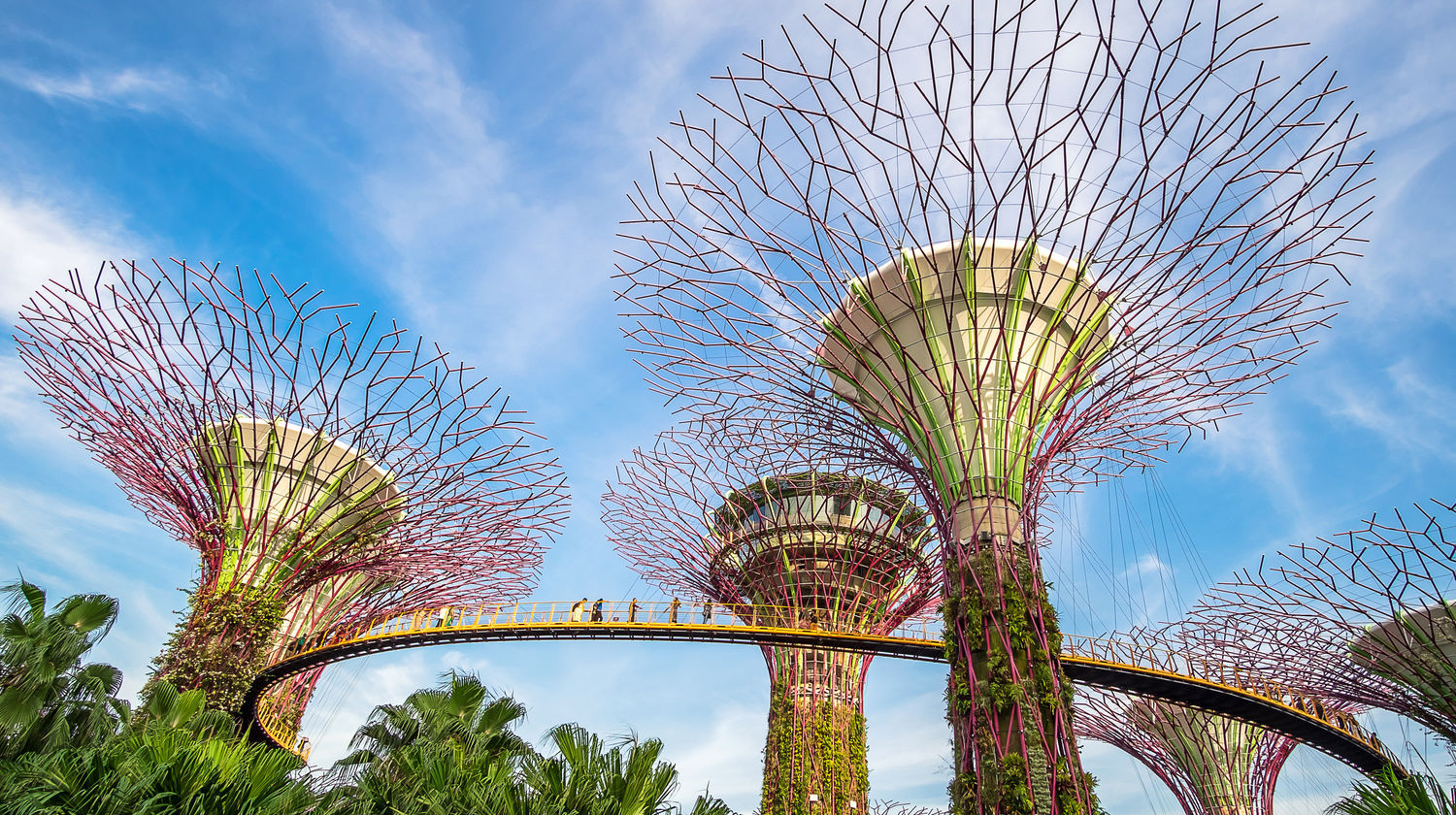Supertree Grove, Gardens by the Bay, Singapore