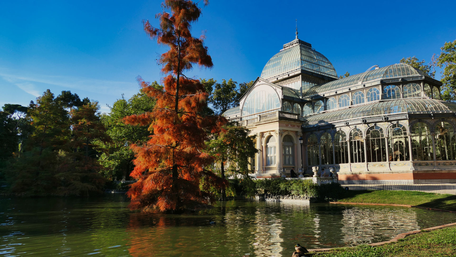 Palacio de Cristal, Madrid