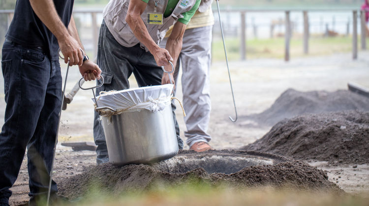 Preparing the traditional Furnas Cozido in volcanic soil