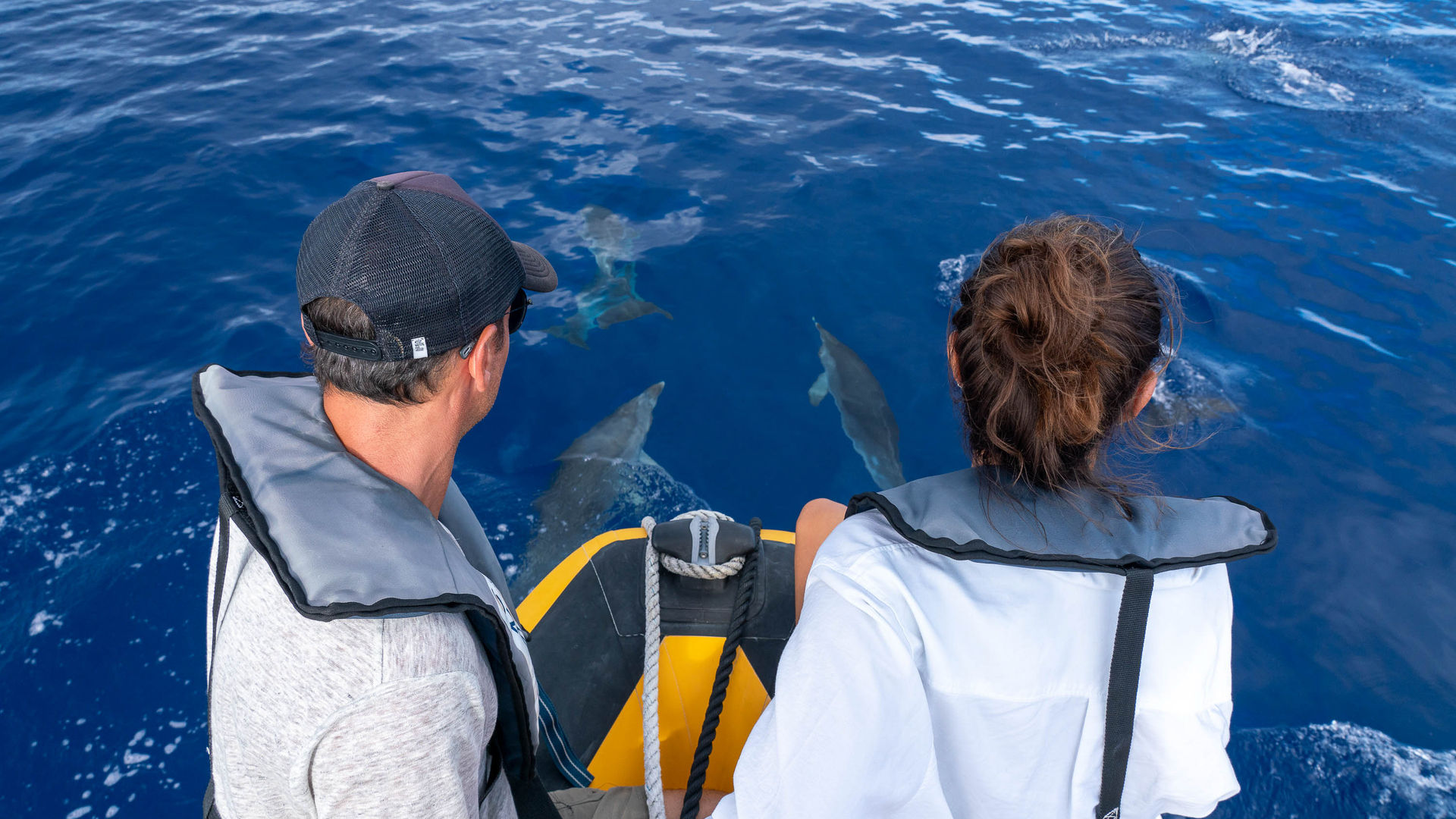 Whale & Dolphin Watching, São Miguel Island