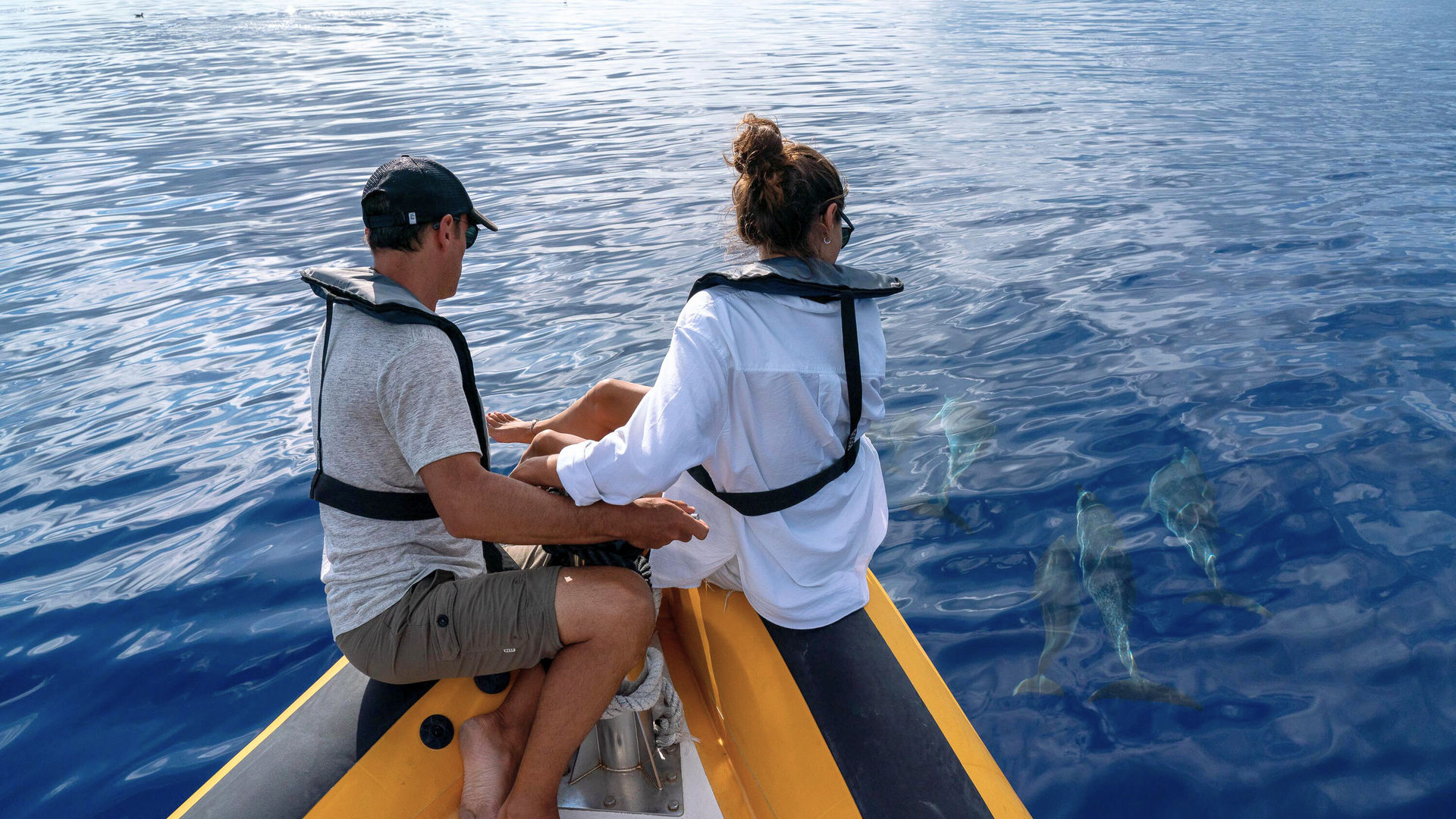 Whale & Dolphin Watching, São Miguel Island