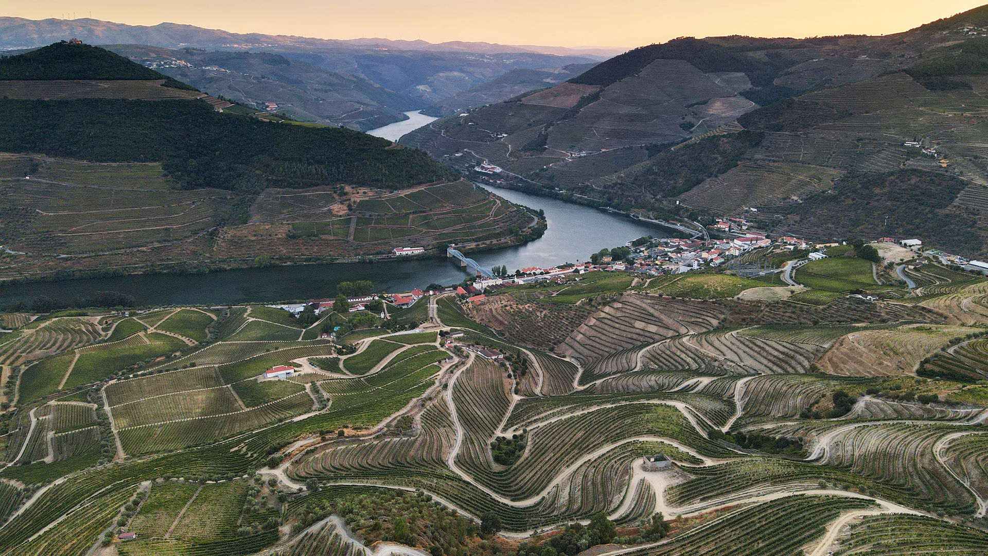 Douro Valley Vineyards