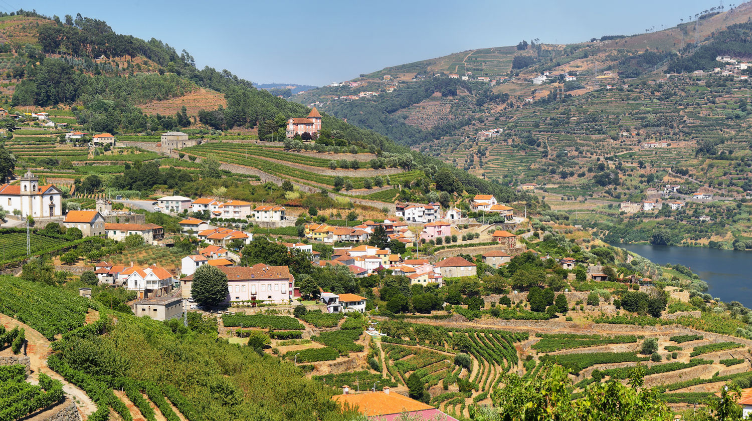 <p><strong>The Train into Wine Country, the Douro Valley (approx. 2-hours)</strong></p>