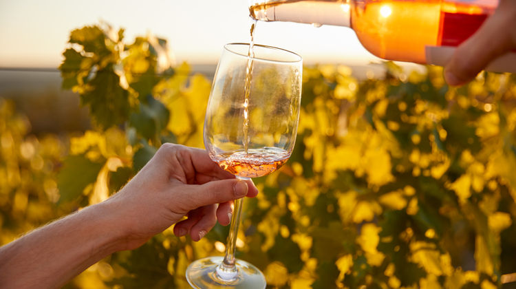 Raise a Glass to Portugal’s World-Class Wines