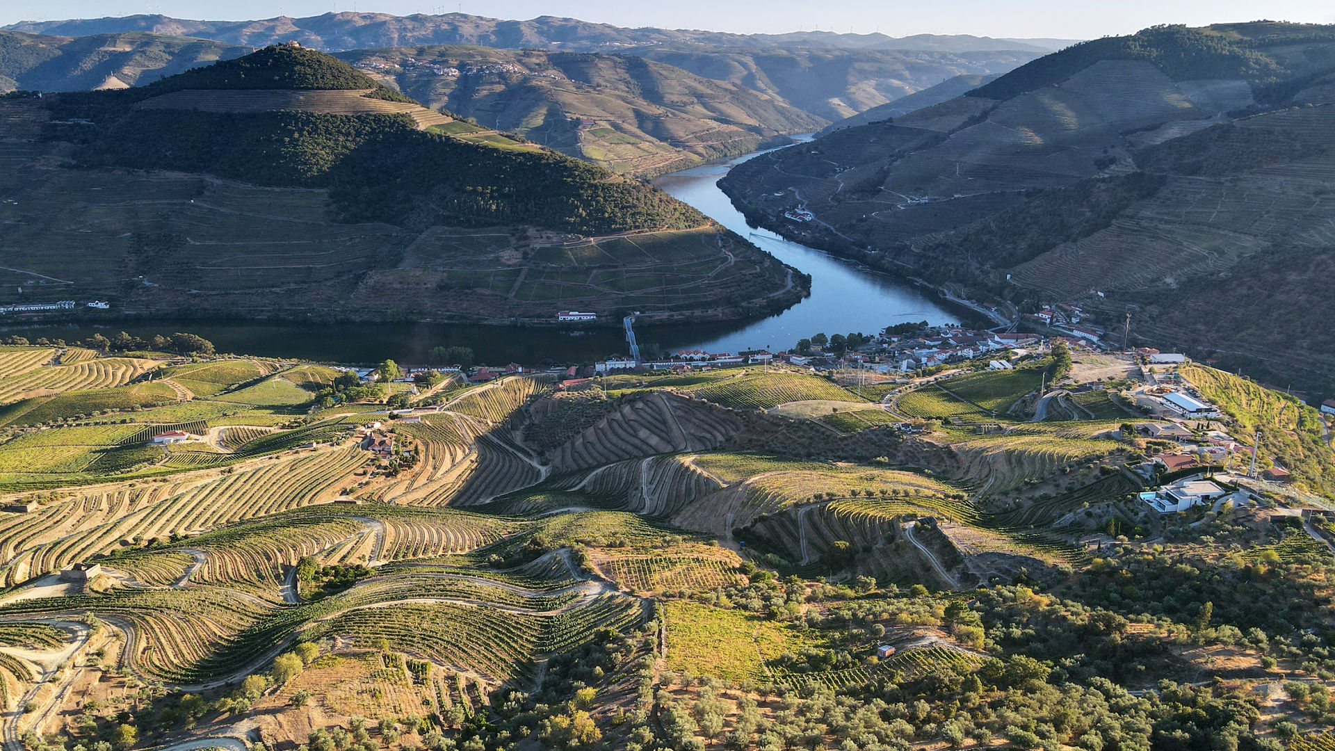 Breathtaking Views Over the Douro River