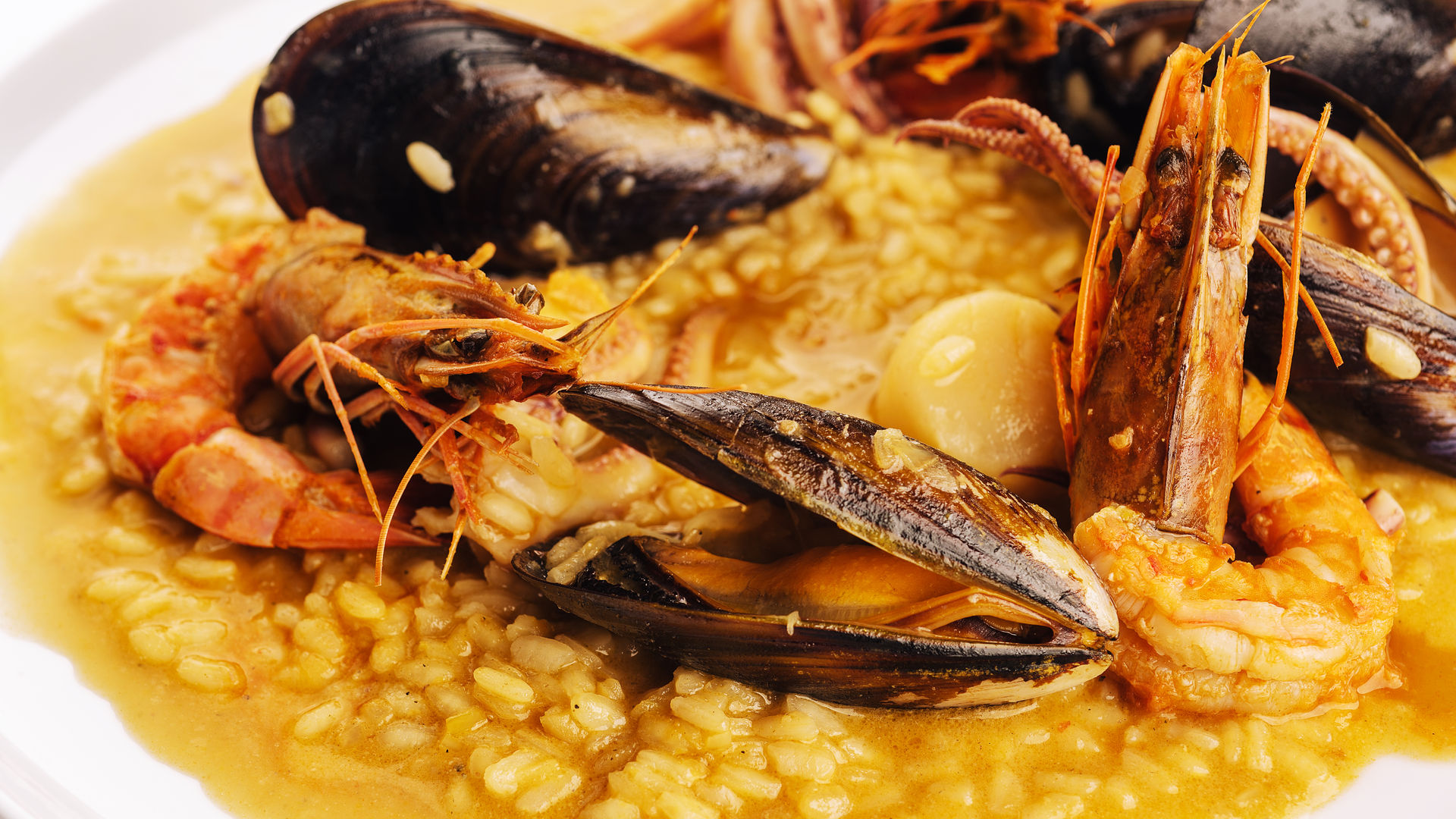Dive Into Flavor: Portuguese Seafood Risotto