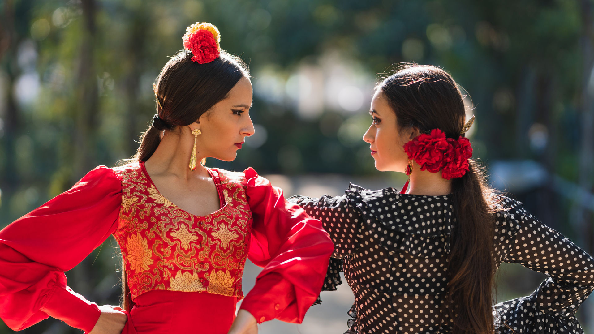 Flamenco, Spain
