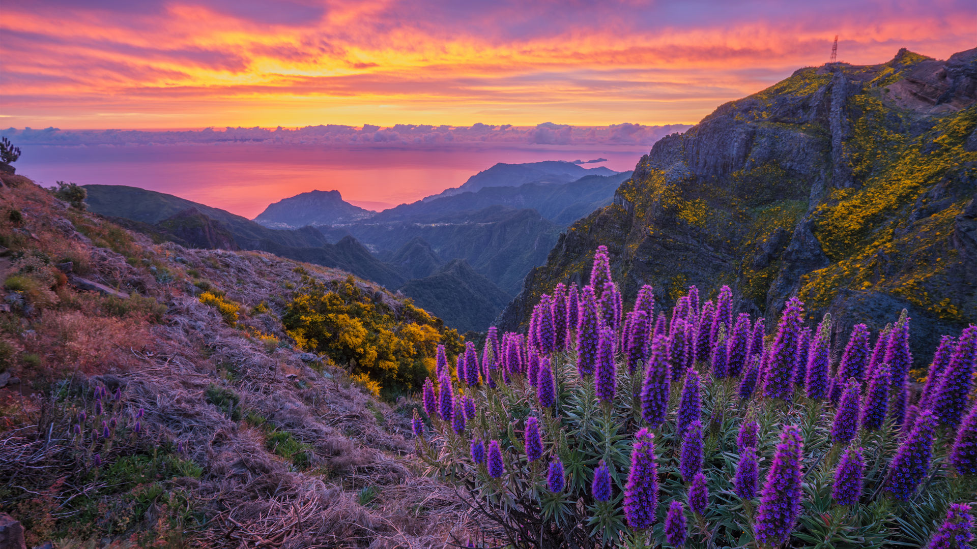 Sunrise near Pico do Areeiro, Madeira Island