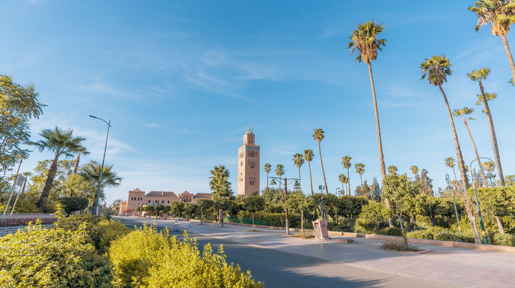 A peaceful garden oasis in Marrakesh, with lush greenery, tranquil fountains, and the serene ambiance of Moroccan architecture.