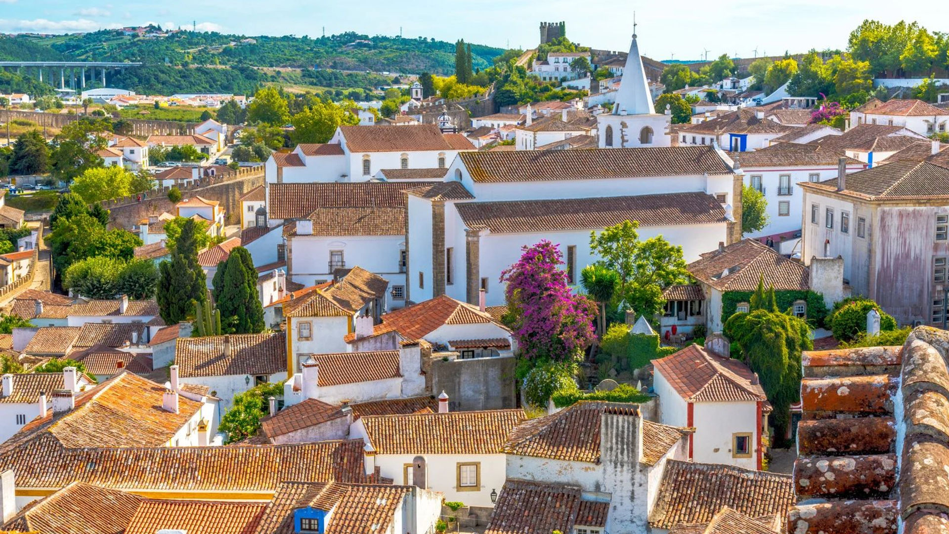 Traditional Houses in Óbidos