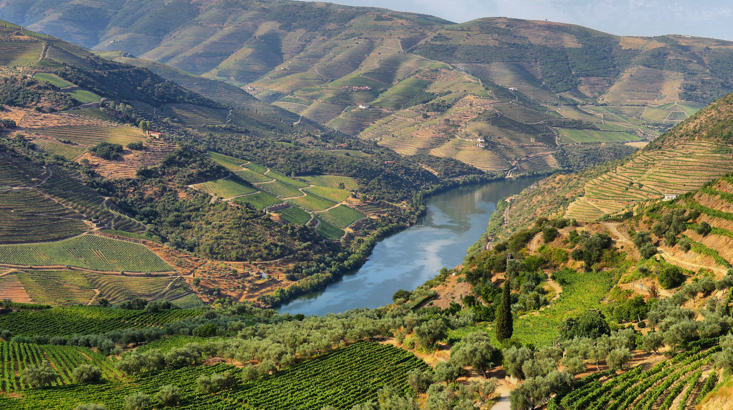 Douro Valley - Included Tour in Porto
