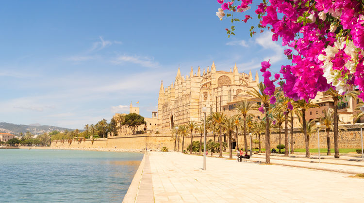 <p>Palma de Mallorca, Spain (7:00 am - 4:00 pm)</p>