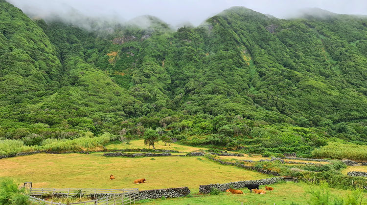 Fajã do Belo in São Jorge Island, photo by our Portuguese Market Manager João