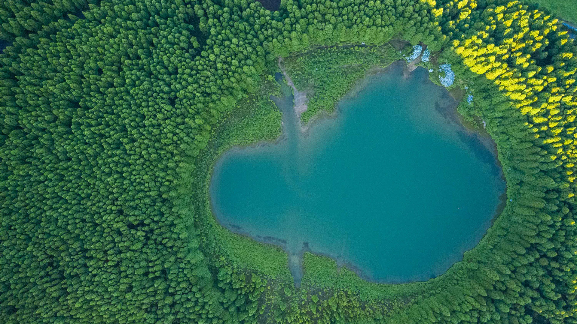 Canário Lake in Sete Cidades, São Miguel Island