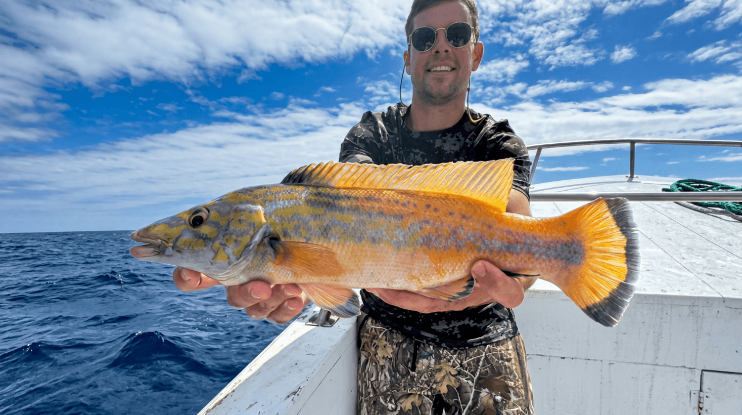 Mahi-Mahi Catch, Rabo de Peixe, Azores