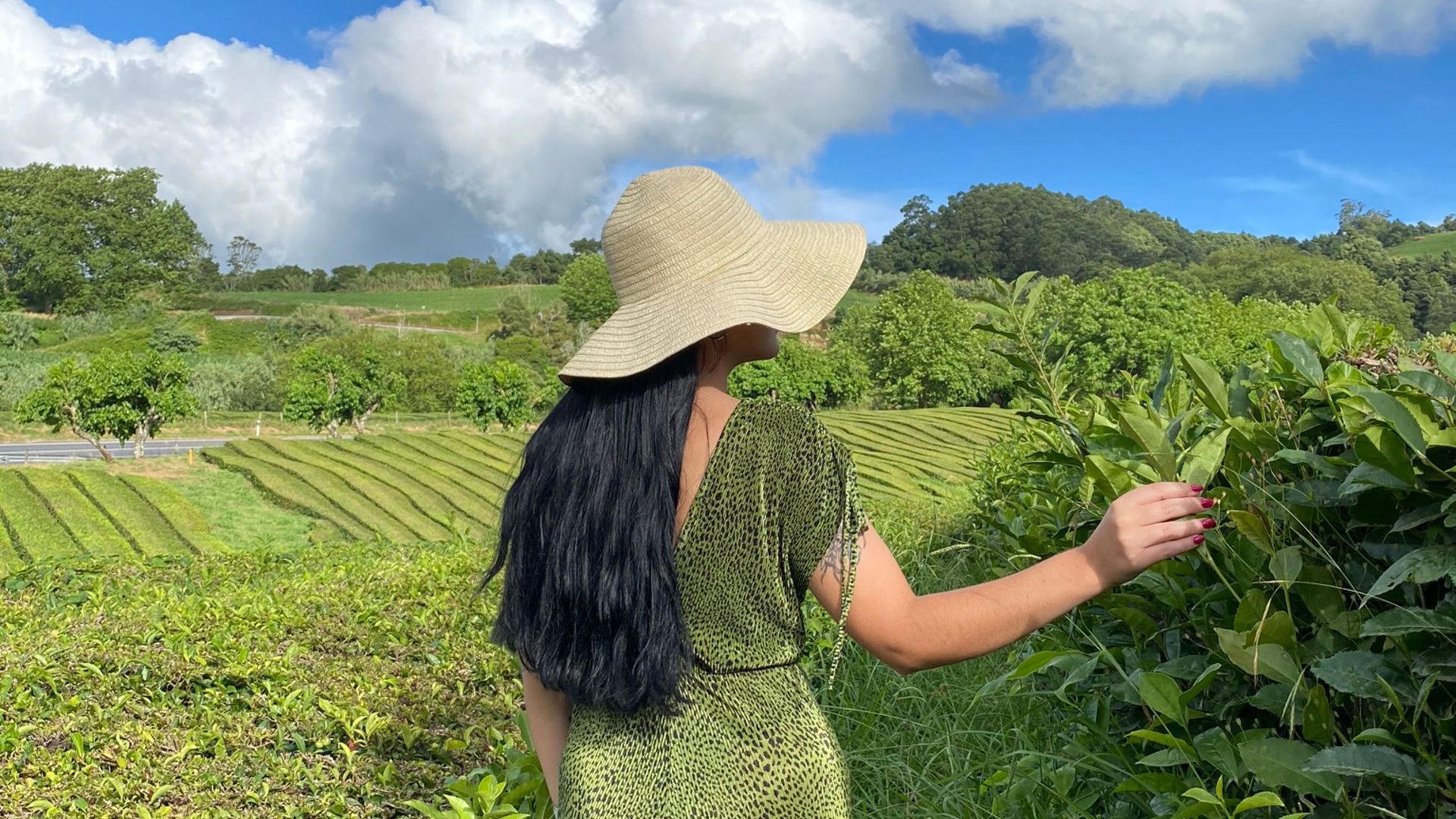 Exploring Gorreana's Lush Tea Fields, São Miguel Island