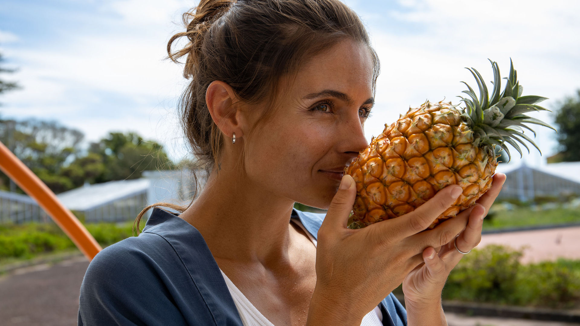 Local Pineapple, São Miguel Island