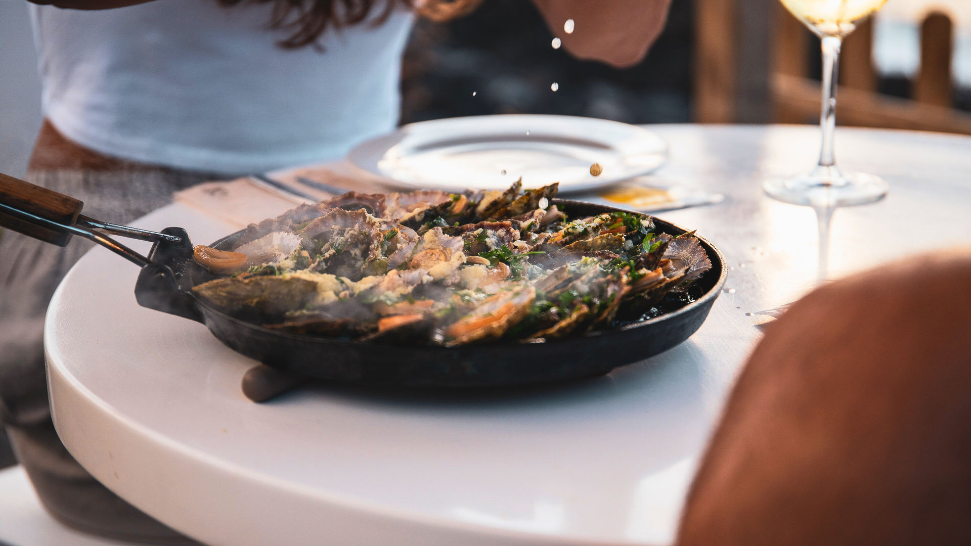 Limpets, São Miguel Island