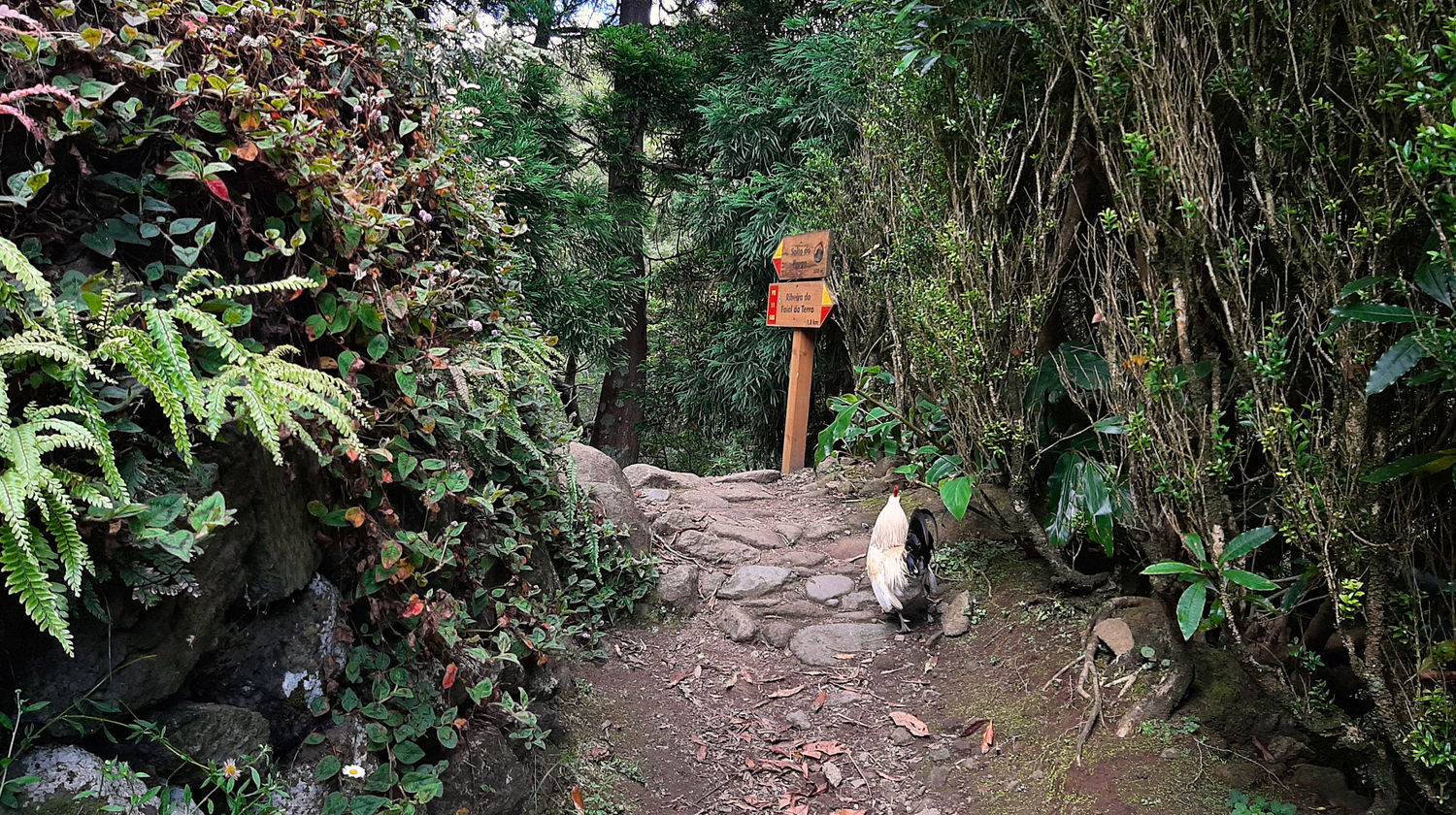 Salto do Prego/Sanguinho Trail, photo by our Quality Assurance Analyst Marina
