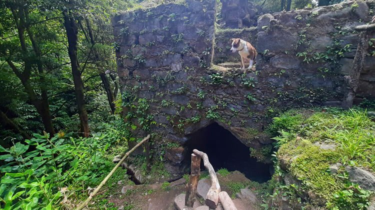 Moinho do Félix Trail, photo by our Quality Assurance Analyst Marina