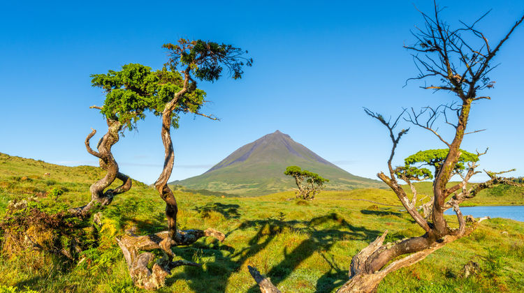 São Miguel, Pico, Terceira & Madeira with Car