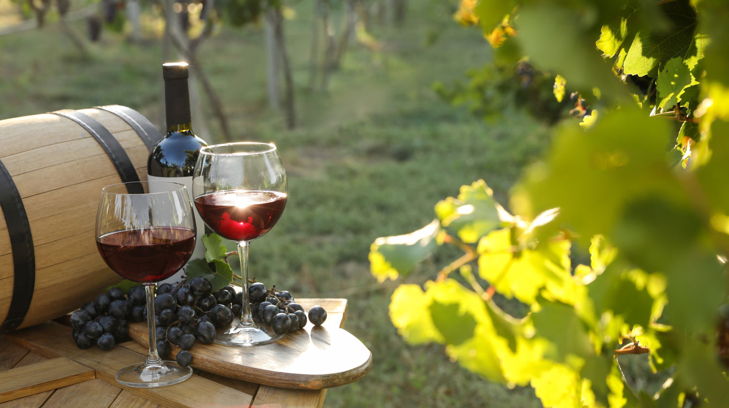 <b>Marsala: Winery visit & wine tasting with local samples (Included)</b>