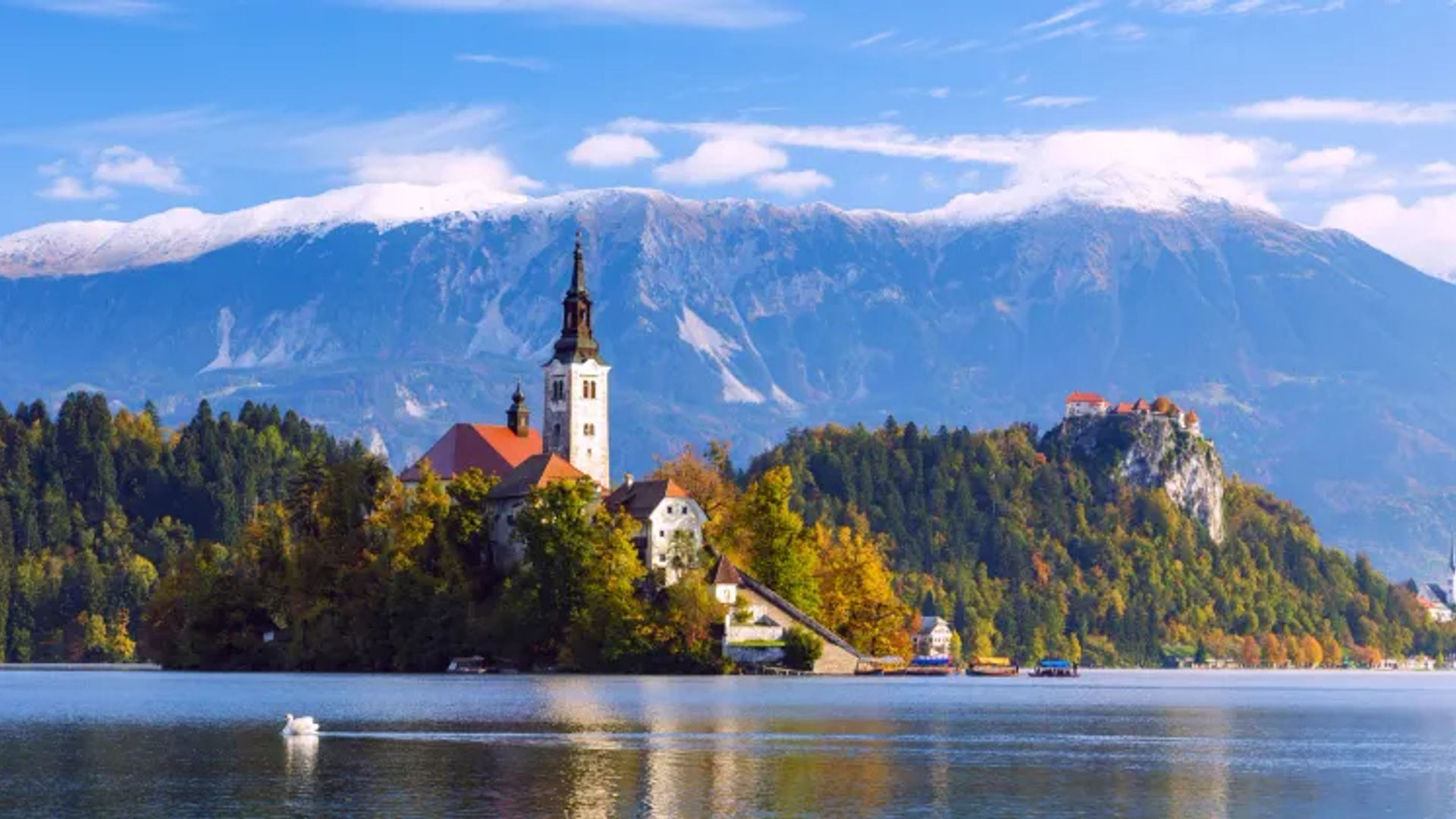 Bled