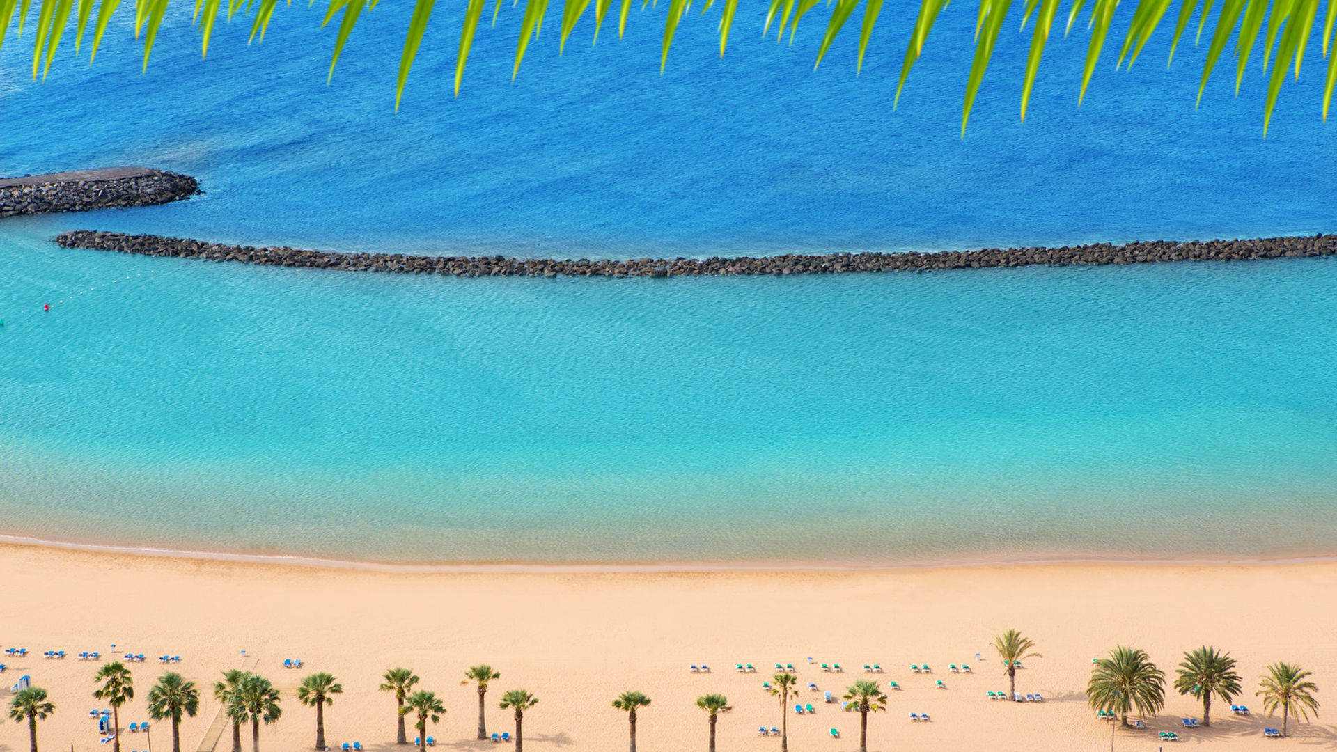 Santa Cruz de Tenerife