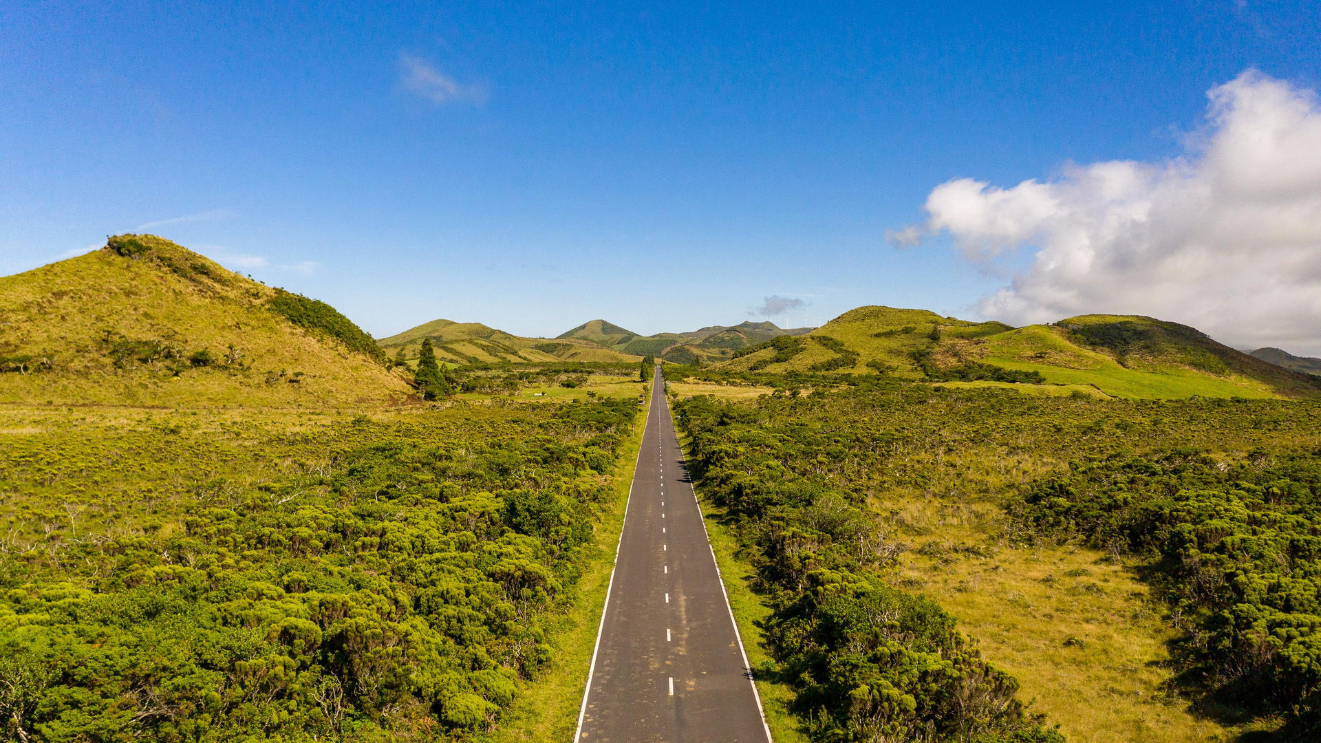 Pico's Scenic Roads, Pico Island
