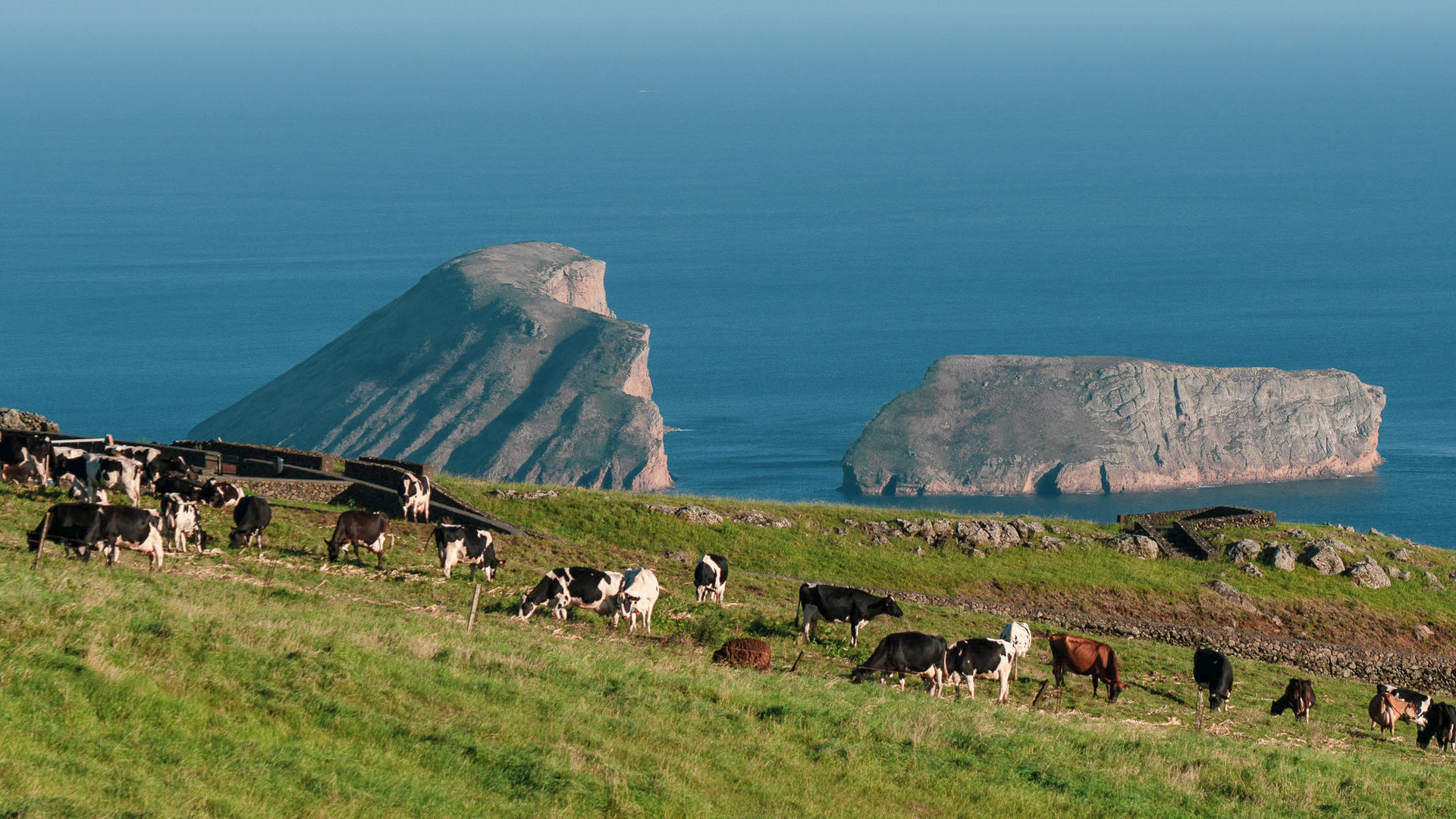 Cabras Islets, Terceira Island