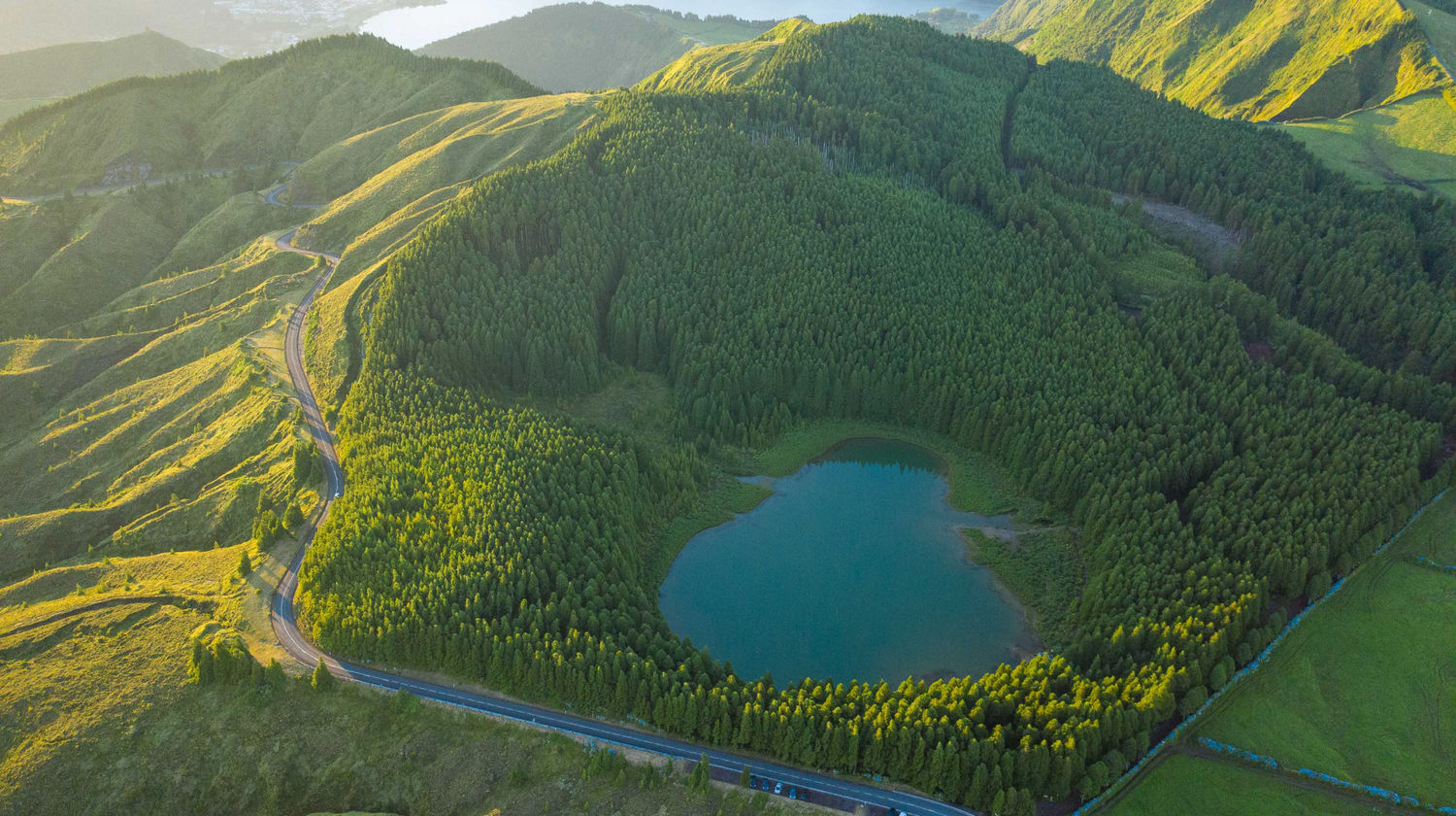 Lagoa do Canário Surrounded by Lush Forest, São Miguel Island