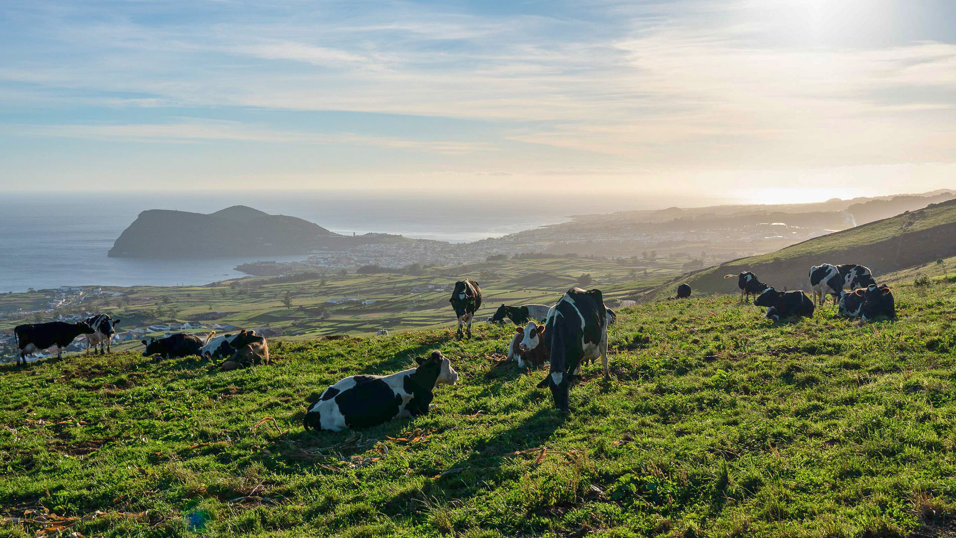 Cow Pasture, Terceira Island