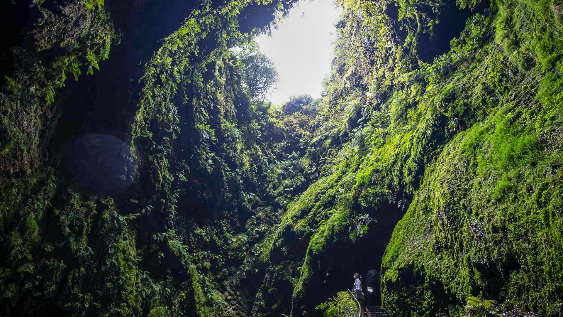 Algar do Carvão, Terceira Island