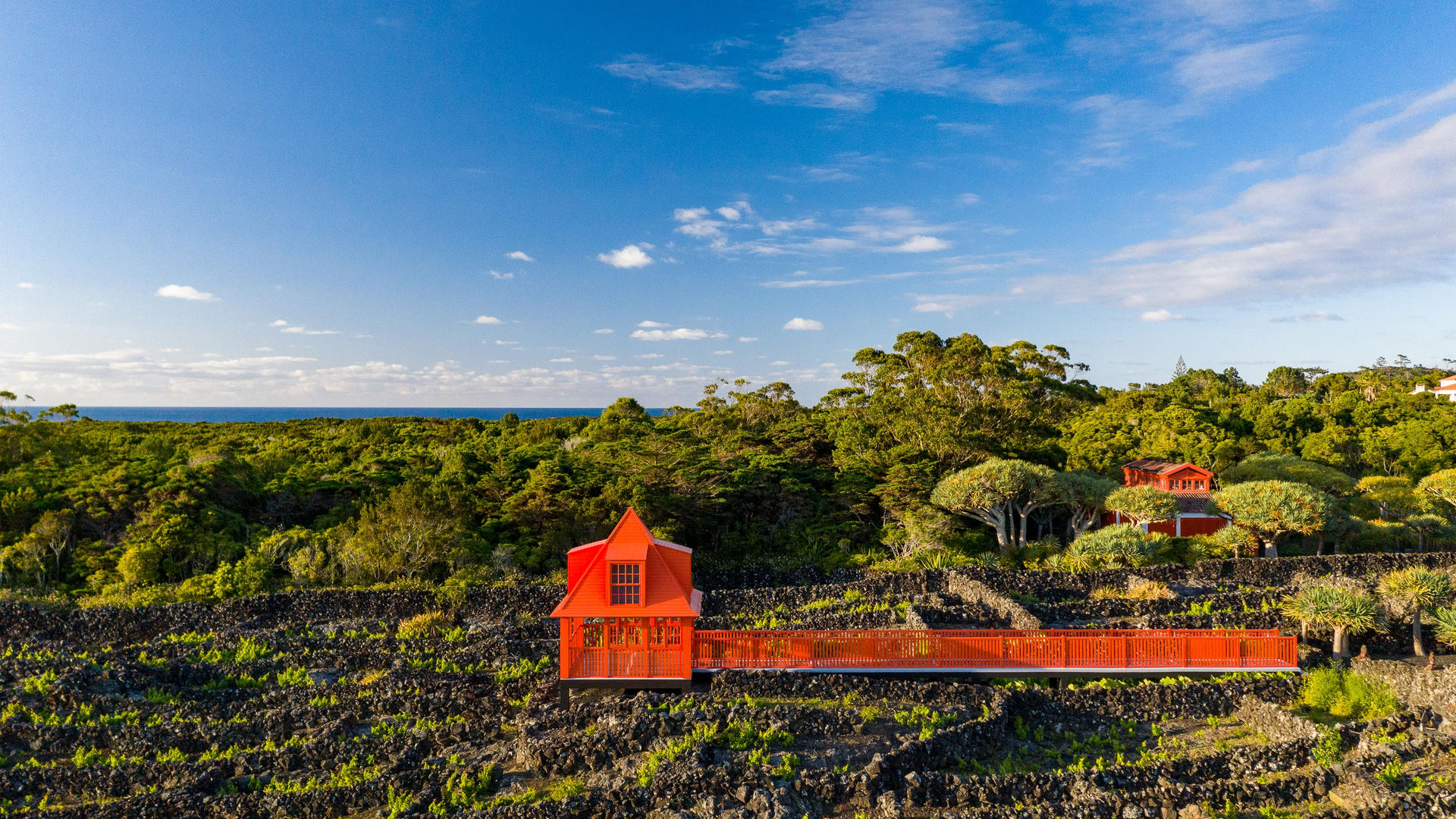 Wine Museum surrounded by volcanic vineyards, Pico Island