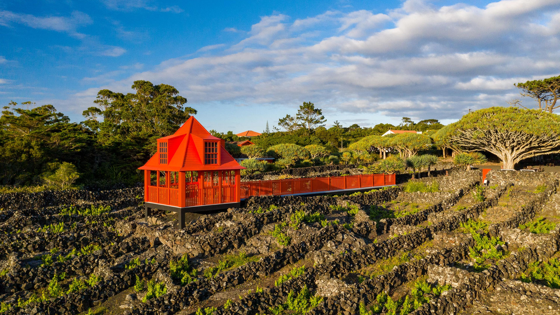 Pico Wine Museum, Pico Island