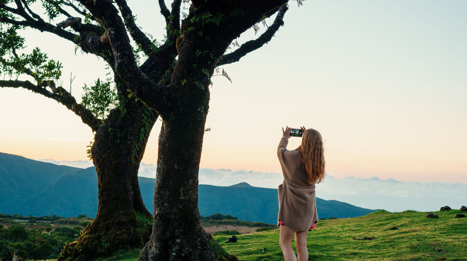 Explore the fairytale-like Fanal Forest in the heart of Madeira’s UNESCO-listed laurel woods.