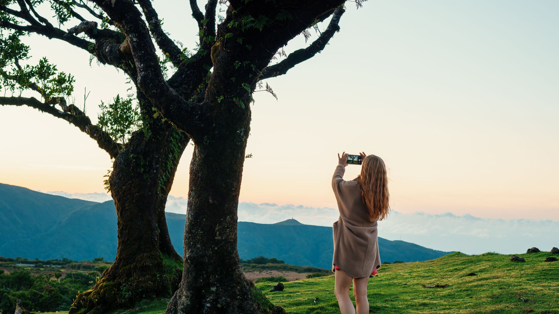 Explore the fairytale-like Fanal Forest in the heart of Madeira’s UNESCO-listed laurel woods.