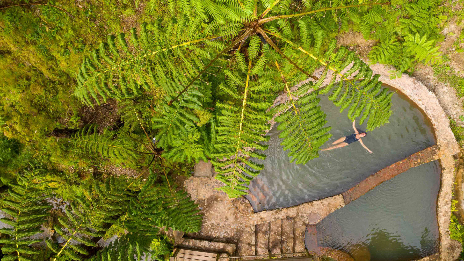 Natural hot springs and tropical vegetation at Caldeira Velha in São Miguel.